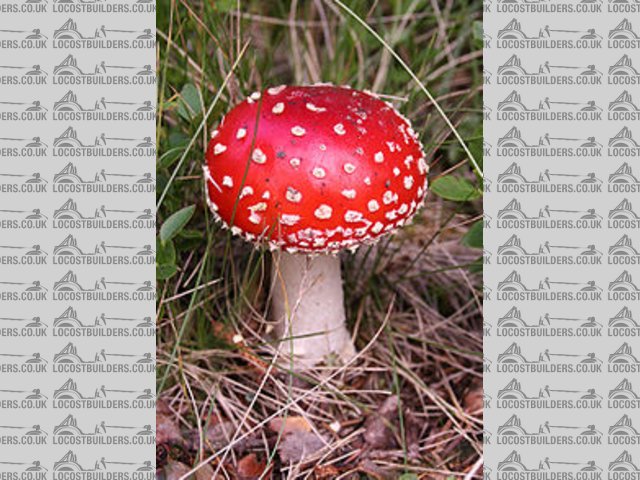 fed on shit kept in dark